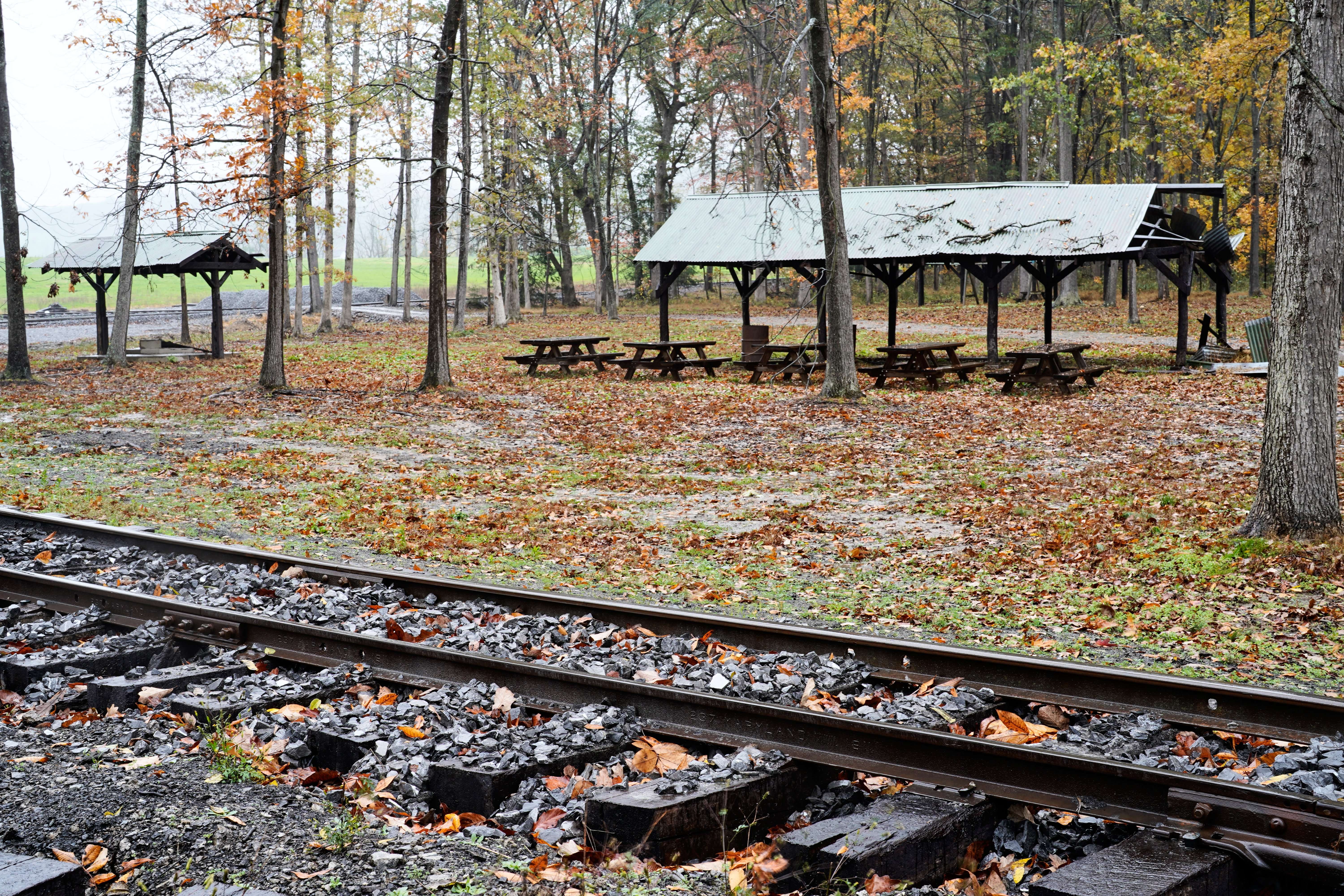 Read more about the article Allegheny Foundation Grant Aids EBT’s Return to Picnic Grove